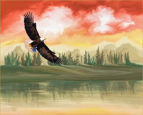 Eagle art, licensed for non-commercial reuse