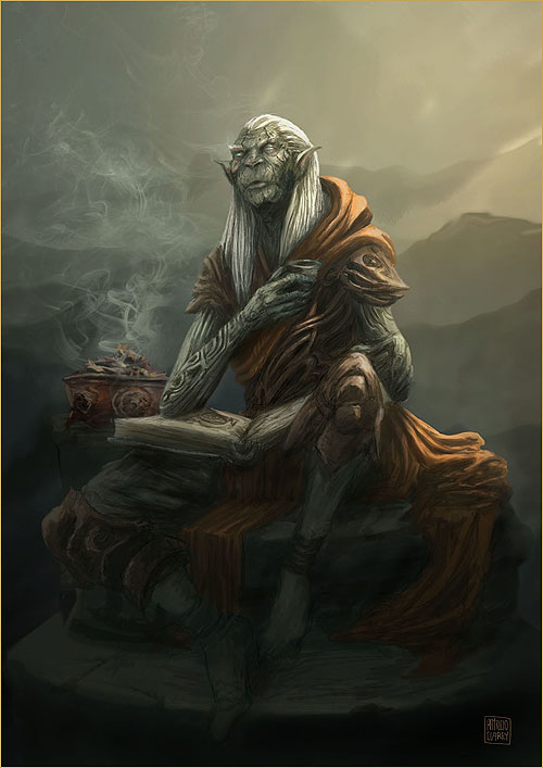 Orc Monk by Patricio Clarey, all rights reserved. Used by permission.