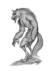 werewolf
