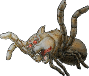 Wolf Spider, by Neo Jiet Shern
