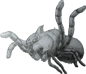 Wolf Spider, by Neo Jiet Shern